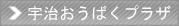 �F�������΂��v���U